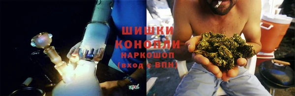 сатива Абаза