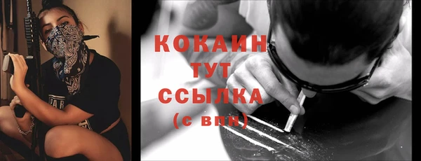 сатива Абаза