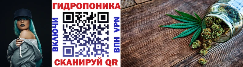 как найти   Пыталово  Каннабис сатива 